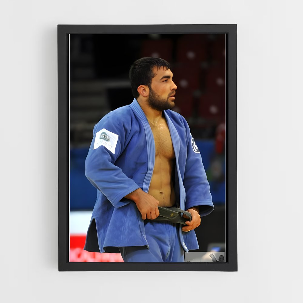 Poster Judo Champion (vue 2)
